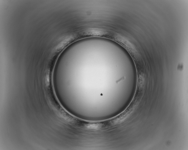 X0000097640358200803142052