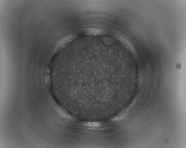 X0000097640361200803142052