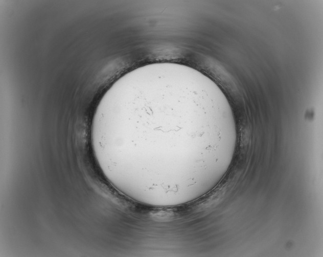 X0000097640362200803142052