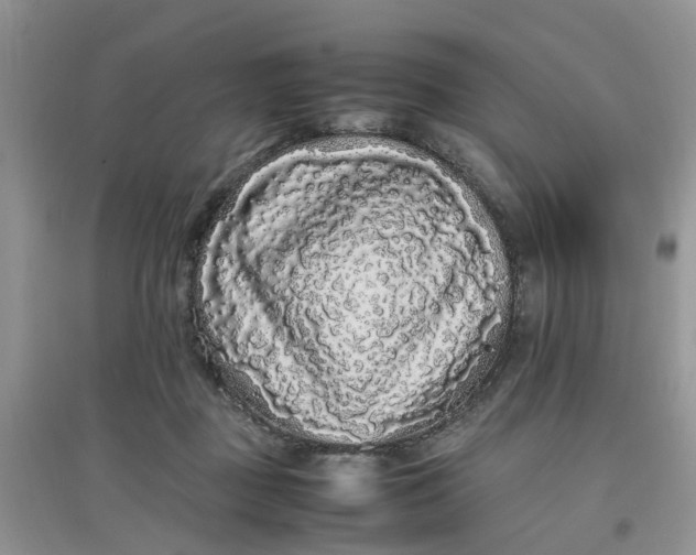 X0000097640363200803142052