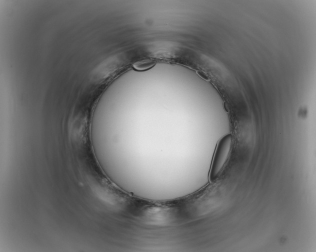 X0000097640364200803142052