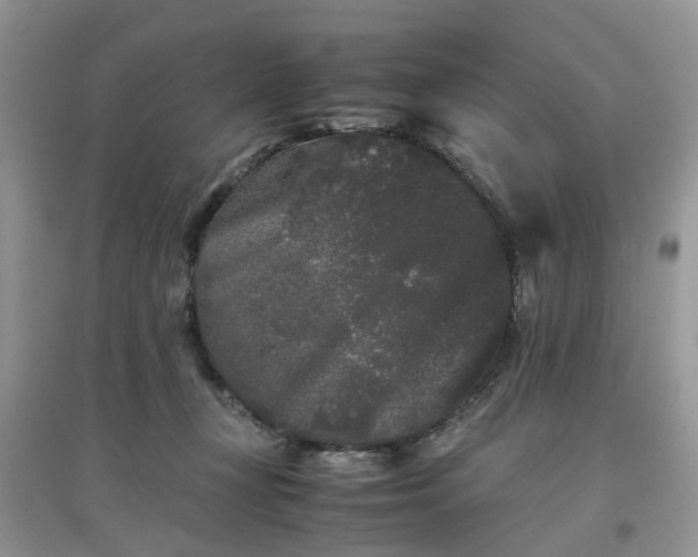 X0000097640367200803142052