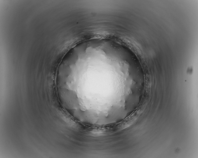 X0000097640369200803142052