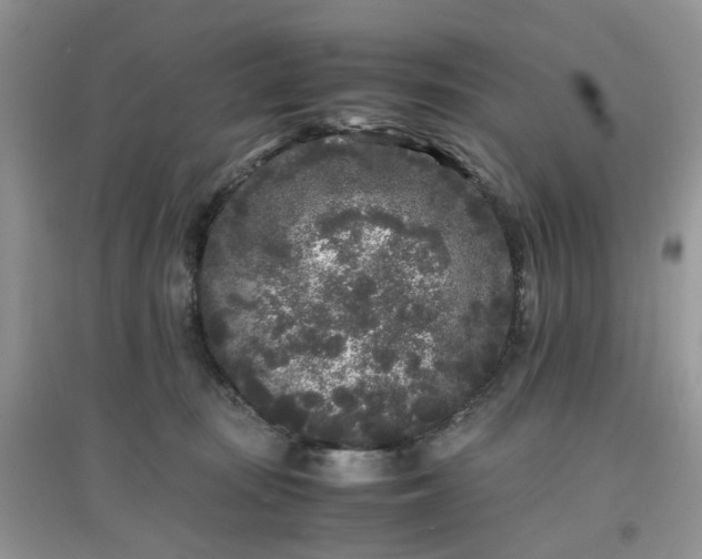 X0000097640371200803142052