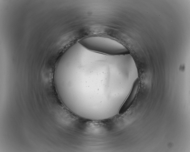 X0000097640372200803142052