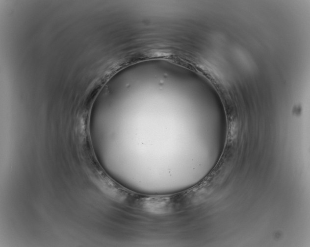 X0000097640373200803142052