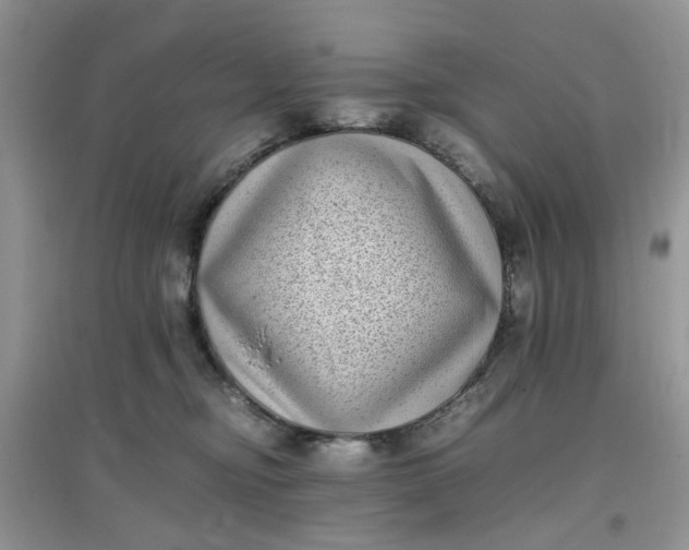 X0000097640374200803142052