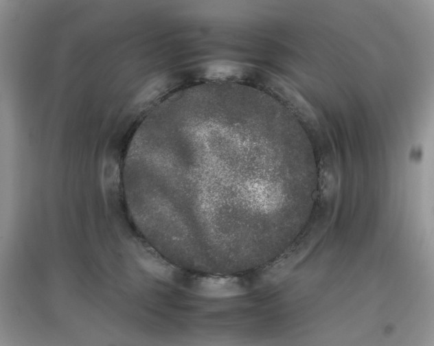 X0000097640375200803142052