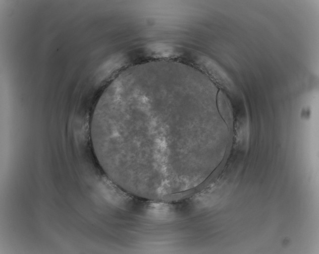 X0000097640376200803142052