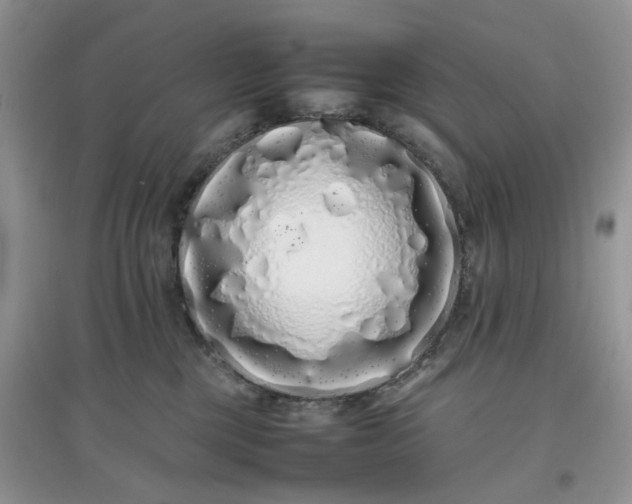 X0000097640377200803142052