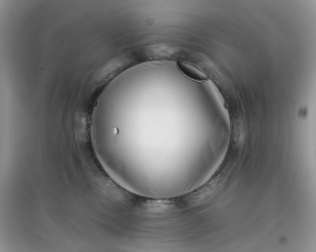 X0000097640378200803142052