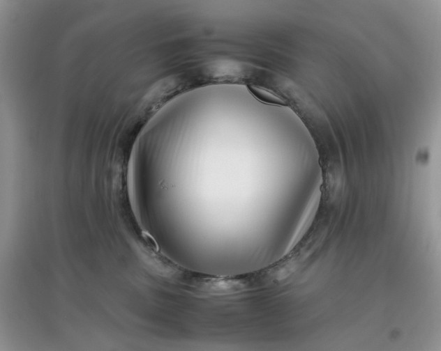 X0000097640379200803142052