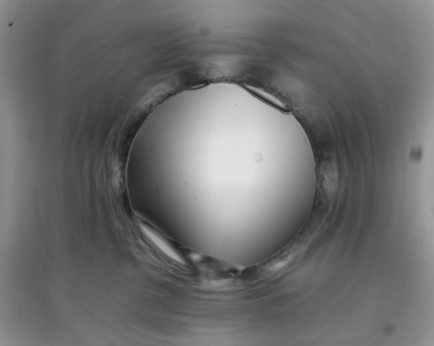 X0000097640380200803142052