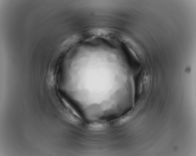 X0000097640381200803142052