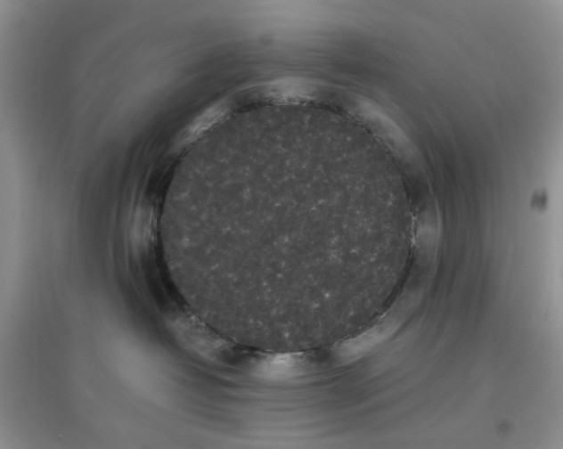 X0000097640382200803142052