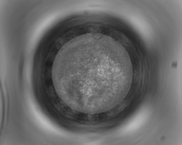 X0000097640383200803142052