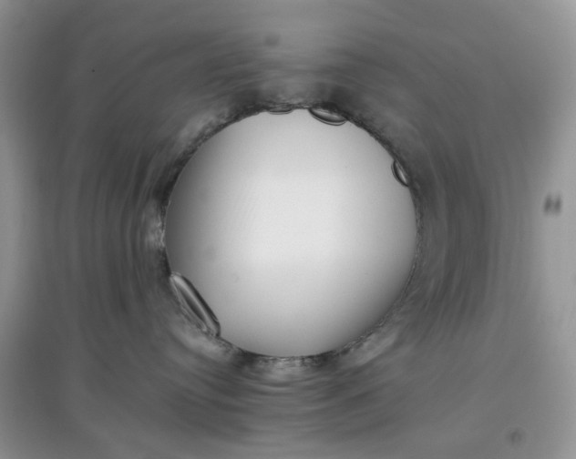 X0000097640384200803142052