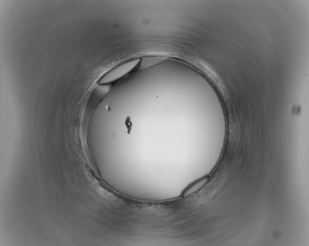 X0000097640385200803142051