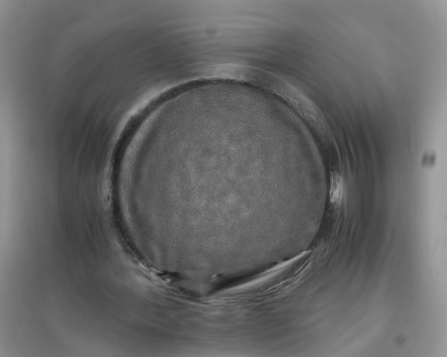 X0000097640388200803142051