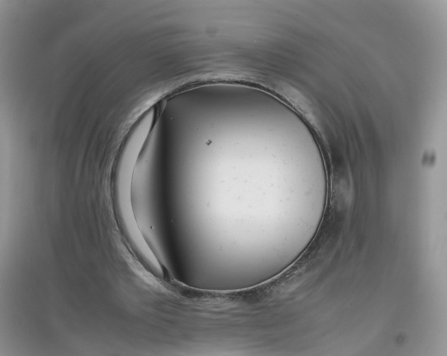 X0000097640389200803142051