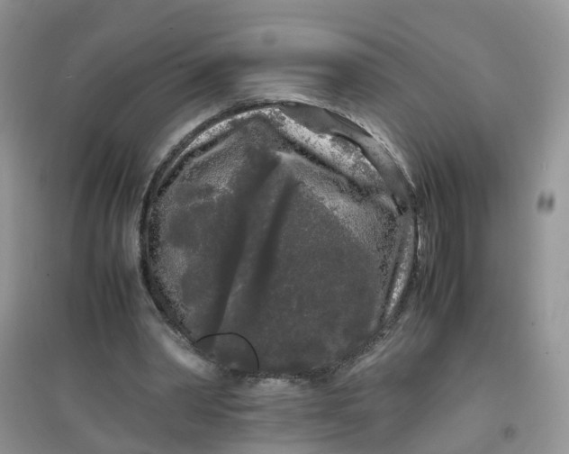 X0000097640390200803142051