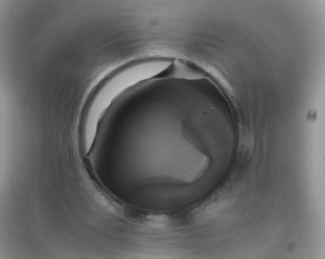 X0000097640391200803142051