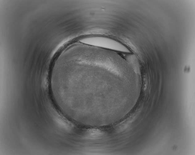 X0000097640392200803142051