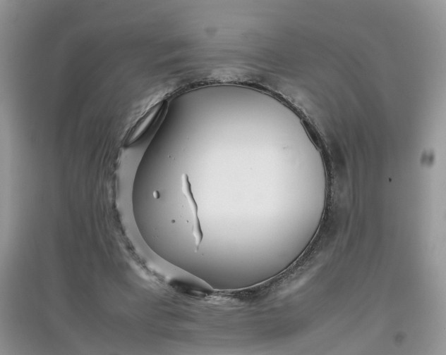 X0000097640393200803142051