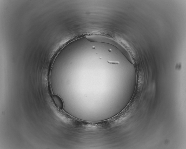 X0000097640394200803142051