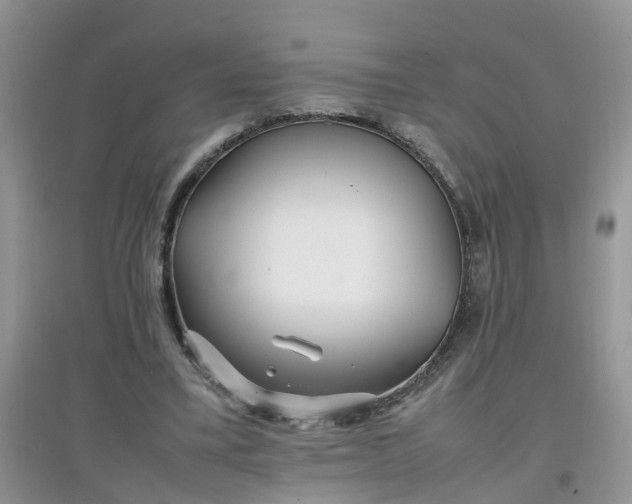 X0000097640395200803142051