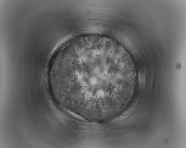 X0000097640396200803142051