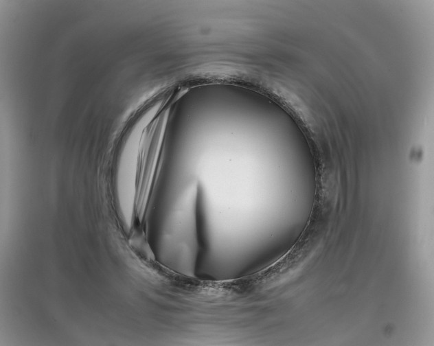 X0000097640399200803142051