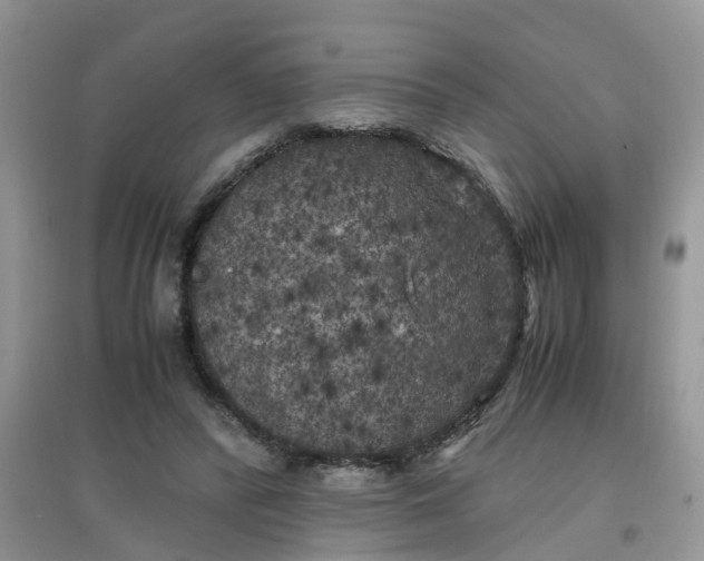 X0000097640400200803142051