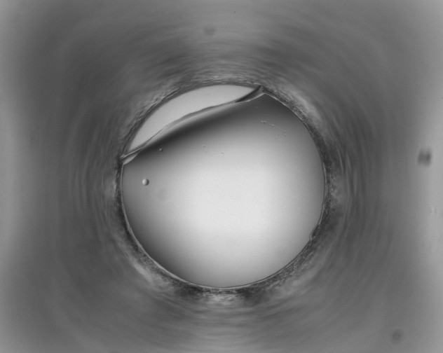 X0000097640401200803142051