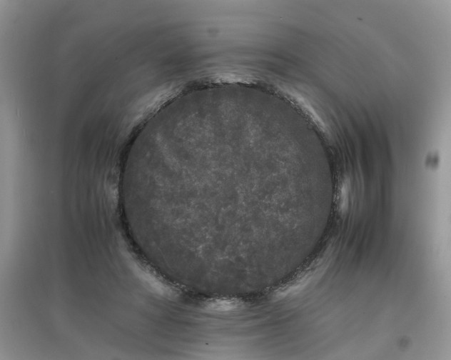 X0000097640402200803142051