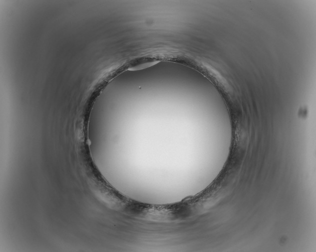 X0000097640403200803142051