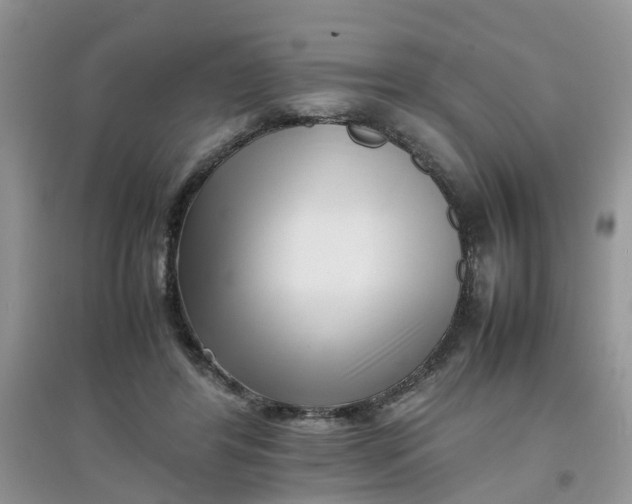 X0000097640404200803142051