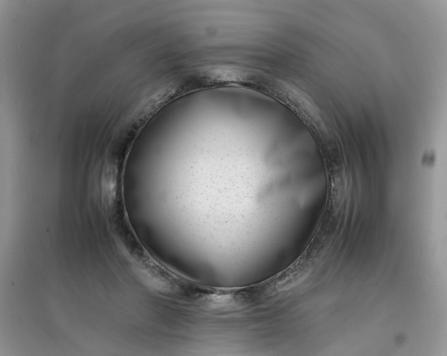 X0000097640406200803142051