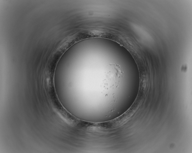 X0000097640408200803142051