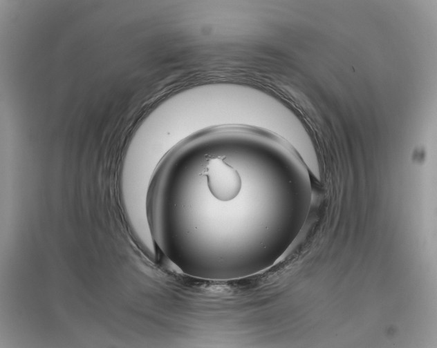 X0000097640409200803142051