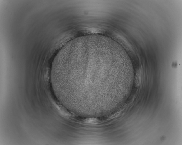 X0000097640410200803142051