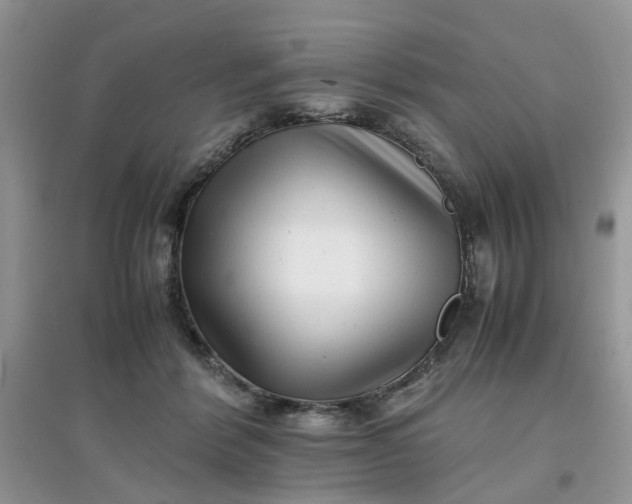 X0000097640412200803142051