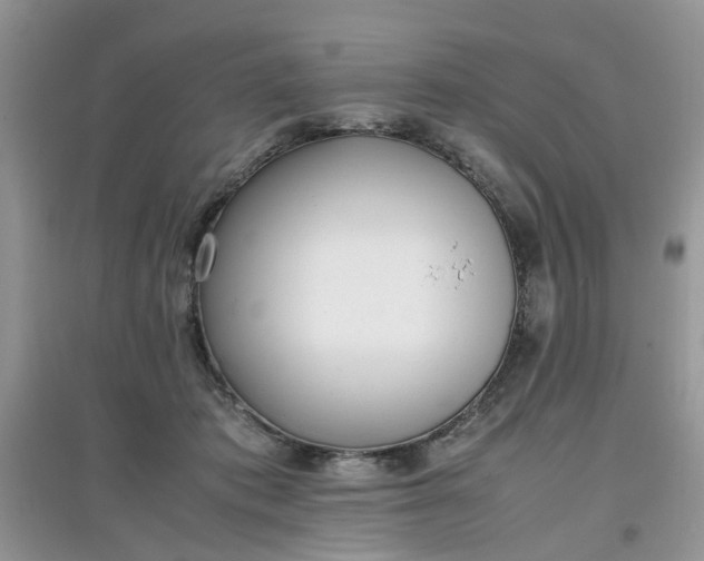 X0000097640413200803142051