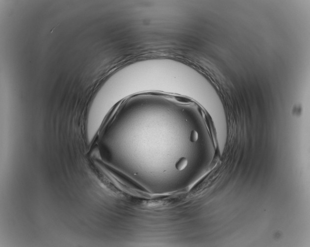 X0000097640414200803142051