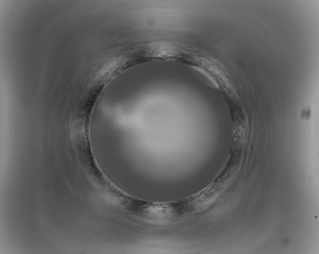 X0000097640415200803142051