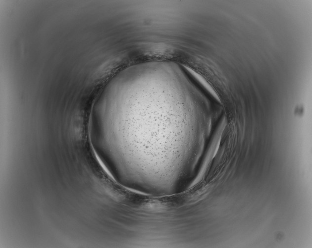 X0000097640416200803142051