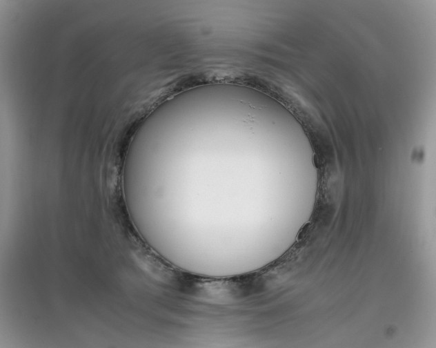 X0000097640417200803142051