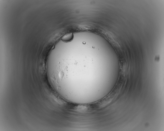 X0000097640418200803142051