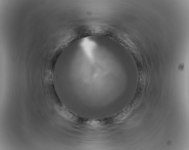 X0000097640419200803142051