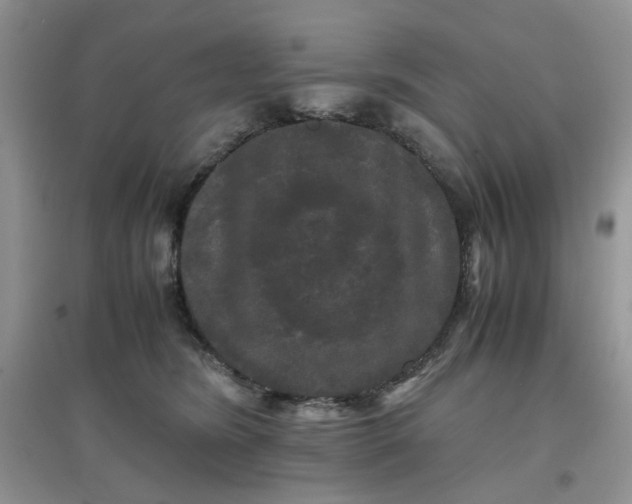 X0000097640420200803142051